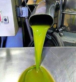 Olio extravergine di oliva biologico