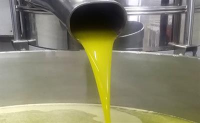 Olio E.V.O